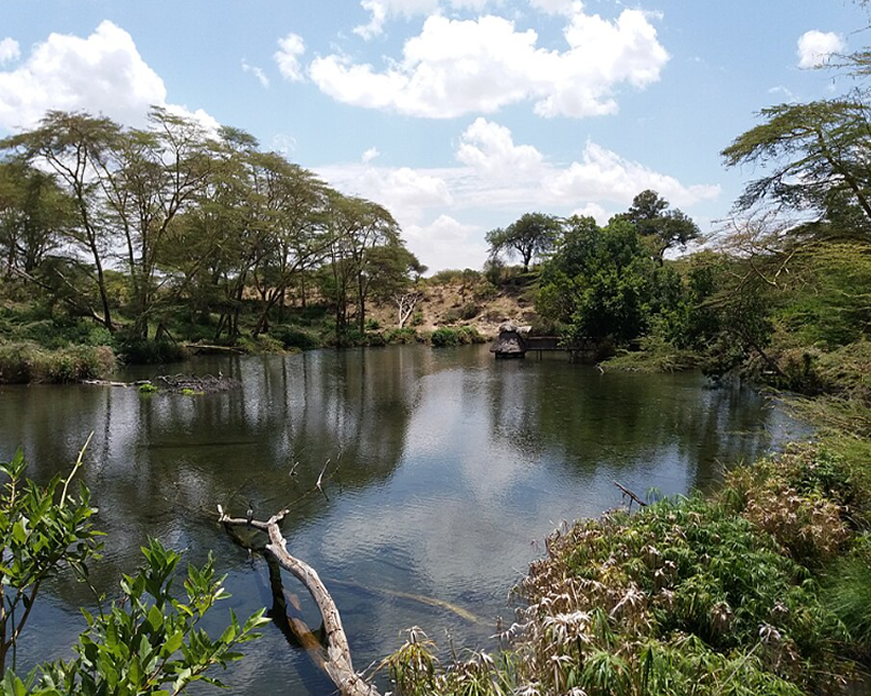 Mzima Springs