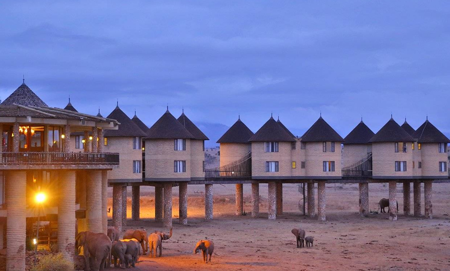 Salt Lick Lodge