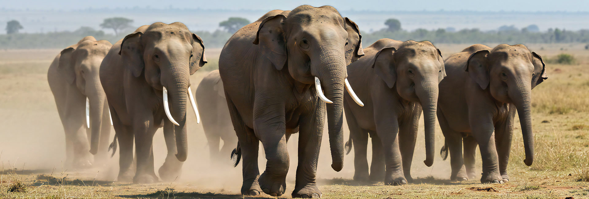 3 Days Amboseli National Park Safari