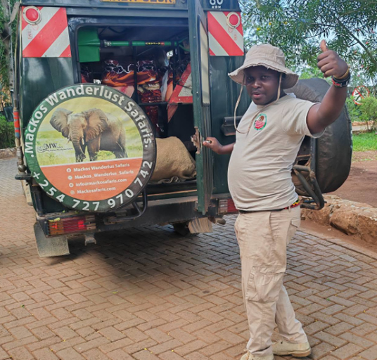 African wildlife safari experience