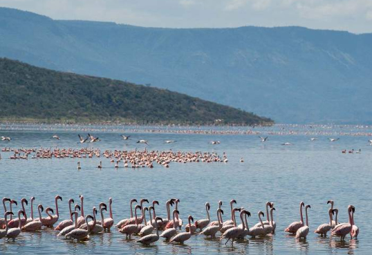 Nairobi – Lake Bogoria