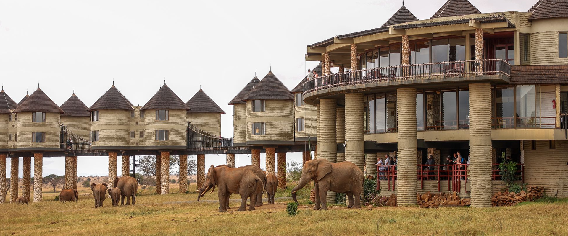 Voyager Ziwani – Taita Hills Wildlife Sanctuary