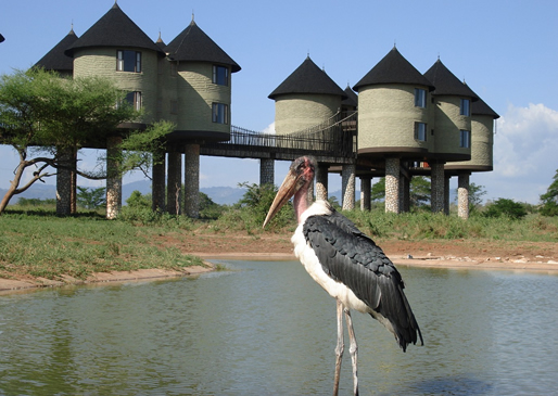 Taita Hills – Tsavo East National Park