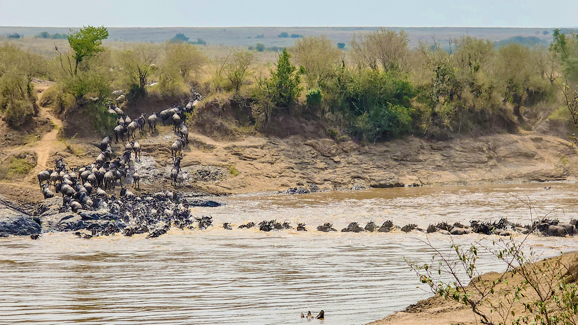 Lake Nakuru – Masai Mara National Reserve