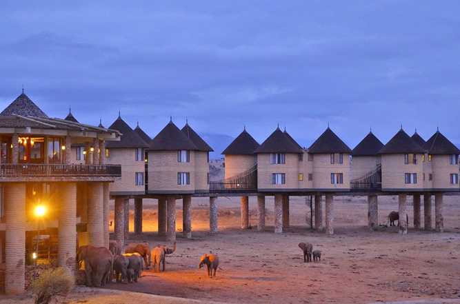 5 Days Tsavo Amboseli and Salt Lick Safari