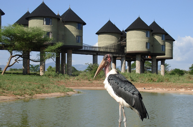 Taita Hills – Mombasa / Diani Beach