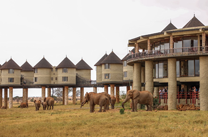 Scenic savannah in Taita Hills Wildlife Sanctuary